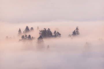 Canvas Print - misty morning in the mountains