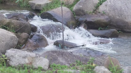 Wall Mural - flowing water stream creek in nature garden park