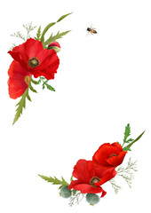 Wall Mural - Beautiful poppy flowers in a beautiful composition isolated on white background. Decorative element for greeting or wedding cards in the corner of the sheet. 