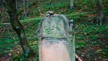 Old Cemetery With Jewish Tombstones. Headstones In Jewish
