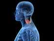 © Sebastian Kaulitzki - 3d rendered illustration of an inflamed neck