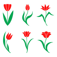 Wall Mural - Decorative tulip icon set