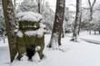 東京都杉並区和泉）雪の中の和泉熊野神社の狛犬