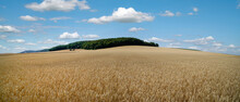 Goldgelbe, Weite Getreidefelder Eingerahmt In Einer Sommerlichen Landschaft. 