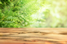 Surface Of A Wooden Table With A Defocus Background Of Coniferous  Trees. The Bright Greenery Of The Spring Garden And Copy Space
