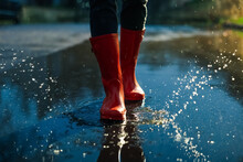 Woman With Red Rubber Boots Walking In Puddle, Closeup. Rainy Weather