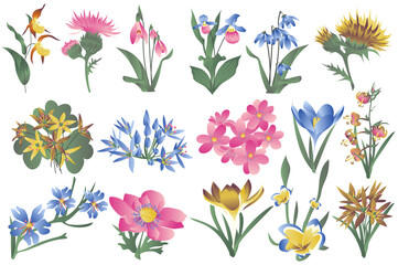 Leinwandbilder - Flowering wildflowers and blooming flowers isolated set. Irises, lilies, snowdrops and other types of spring and summer plants. Bundle of floral elements. Illustration in hand drawn design