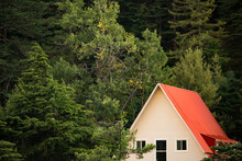 Beautiful Cottage House With Red Roof In Middle Of Dense Pine Forest.