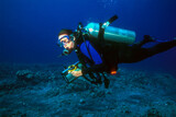 Fototapeta Do akwarium - A Beautiful Woman Diver Exploring the Waters of Truk  Chuuk Lagoon with a Video Camera