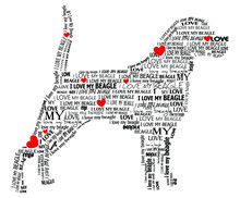 Dog Shaped Word Art With Heart Sign. I Love My Beagle. Silhouette Of A Dog Made Up Of The Sentence "I Love My Beagle". Vector Eps 10