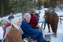 Smiling Friends Riding On Horse-drawn Sleigh