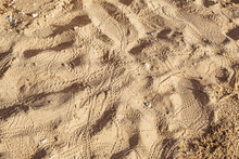 A Crab Footprints On The Sand, Animal Footprints