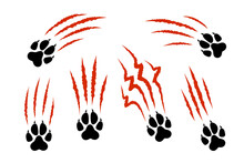 Set Of Animal Paw Print Silhouette With Red Claw Marks, Scratches, Talons Cuts Cat, Tiger, Dog, Lion, Monster Isolated On White Background. Vector Flat Illustration. Design For Animal Print, Banner