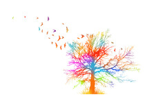 A Beautiful Multicolored Tree With Birds . Vector Illustration