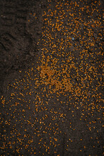 Seeds Scattered On The Soil