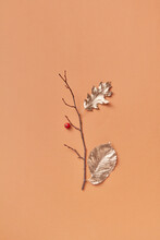 Twig With Leaves And Berry In Studio