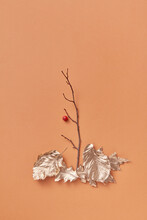 Twig, Berry And Painted Leaves In Studio