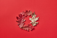Oak Leaves Lying On Red Background