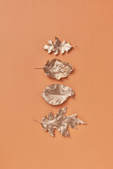 Painted fall leaves arranged in line