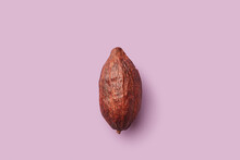 Dry Cocoa Pod On Pink Background