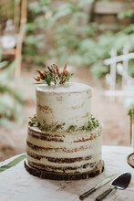 Simple, Rustic Wedding Cake