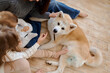 © Tatiana Timofeeva/Stocksy - akita inu at home with people