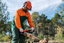 Man Sawing Tree With Chainsaw