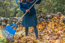 Anonymous Woman Rakes Leaves In Autumn