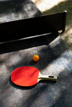Still Life Of Red Ping Pong Paddle 
