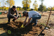 © Manu Prats/Stocksy - Volunteers group in cooperative teamwork to plant trees