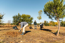 Volunteers Group In Cooperative Teamwork To Plant Trees
