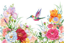 Flying Bird Hummingbirds And Flowers.Watercolor Illustration For Postcards