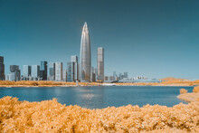 Infrared Photography Of Plants With Cityscape By Sea