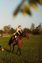 Donna Rides Her Horse And Her Dog Follows Them