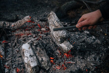 Man Picking Grilled Maize From The Campfire Charcoal