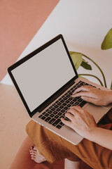 Wall Mural - Young woman working on laptop computer with copy space. Comfortable home office workspace interior design. Work at home