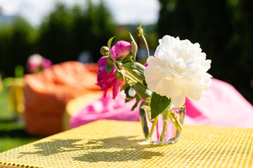 Wall Mural - Beautiful bouquet of flowers peonies in a glass jar with water in garden, Ukraine. Red, pink and white peony albiflora or paeonia officinalis.