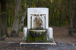 Old Roman marble fountain in the pine forest.