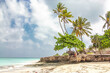 sunny tropical beach landscape with palms and children. Tanzania, Zanzibar
