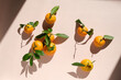 © Maryanne Gobble/Stocksy - Citrus Fruit Still Life