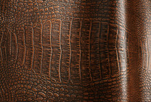 Crocodile Bone Skin Texture Background