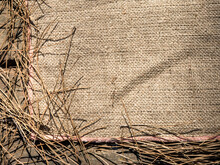 Texture Of Natural Burlap Fabric And Dry Pine Needles 