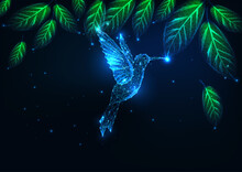 Futuristic Glowing Low Polygonal Flying Hummingbird In Tropical Forest On Dark Blue