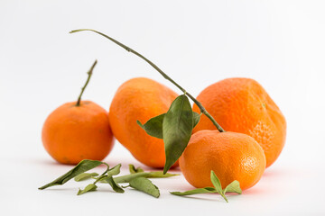 Wall Mural - group of tangerines on white background