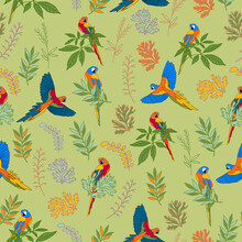 Scarlet Macaw Seamless Pattern