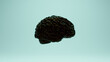 Shiny Black Brain Anatomy Cerebral Power Red Blue Oil Reflection Side 3d illustration render