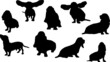 Basset Hound Dog Silhouette Bundle SVG