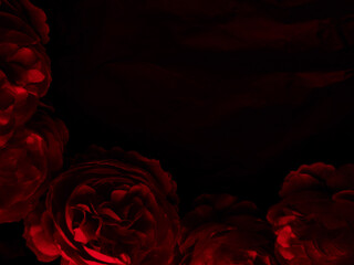 Wall Mural - Beautiful abstract color black and red flowers on black background, light pink flower frame, pink leaves texture, dark background, Christmas and valentines day celebration, love theme, red texture 