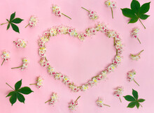 White Flowers Aesculus Hippocastanum, The Horse Chestnut Frame In A Shape Of A Heart On A Pink Paper Background With Space For Text. Top View, Flat Lay
