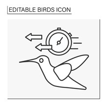  Hummingbird Line Icon.Small Bird Symbol Of Speed, And Agility.Birds Concept. Isolated Vector Illustration. Editable Stroke
